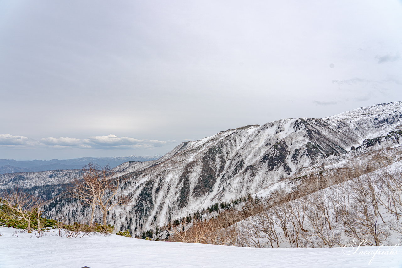 大雪山層雲峡・黒岳ロープウェイスキー場　本日の積雪 310cm。神々の遊ぶ庭でのんびり春スキー＆スノーボードを楽しみましょう♪